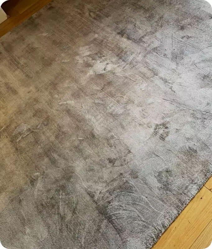 Professional rug cleaning equipment Dublin - State-of-the-art rug cleaning facility